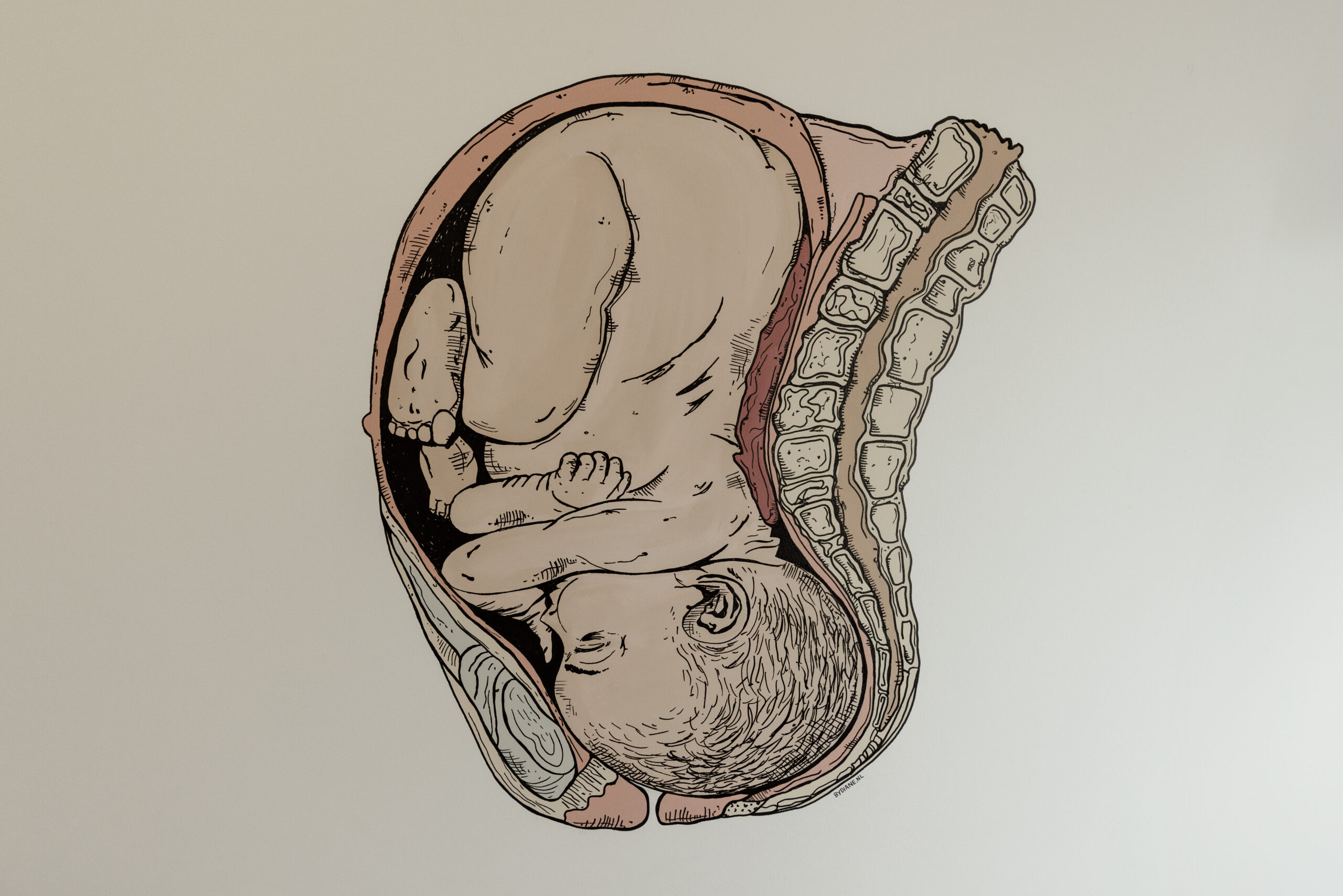 Medische afbeelding van een baby in de baarmoeder tijdens de zwangerschap